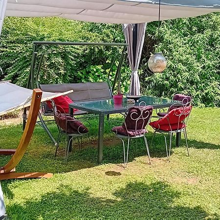 Camping Under The Walnut In Your Own Tent On A Shared Lot And Shared Bathroom Любляна Экстерьер фото