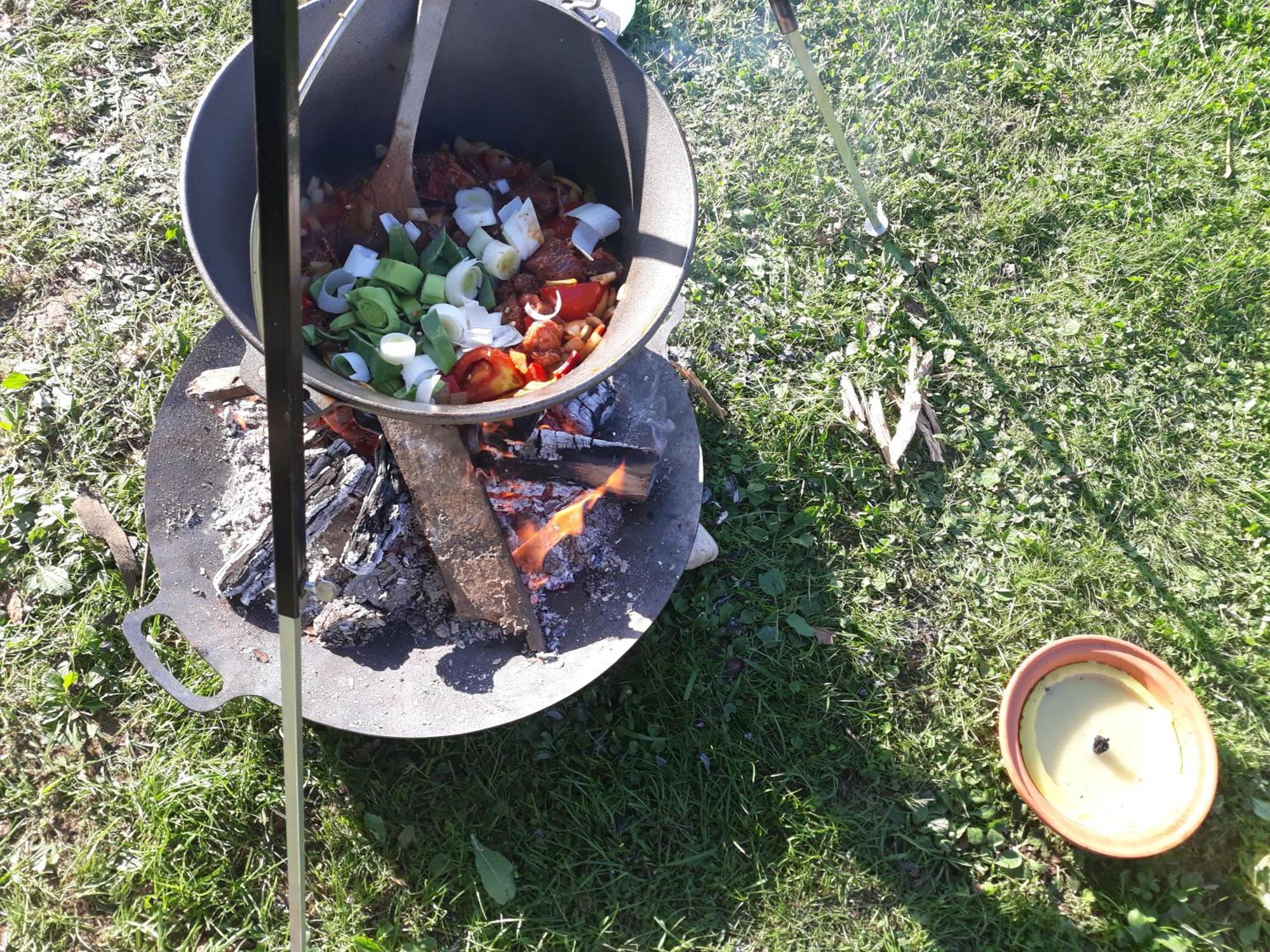 Camping Under The Walnut In Your Own Tent On A Shared Lot And Shared Bathroom Любляна Экстерьер фото